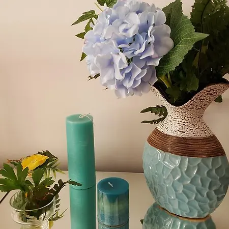 Apartamento Rivera