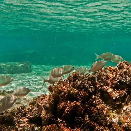 Rivera Porto Santo